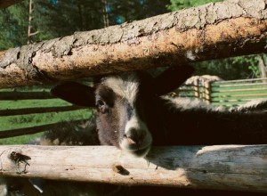 0-02-0a-510a660a160f1c660249bd8d3ac27f7c32084fa235bac026a9c2ce8b0267eb13_56374215