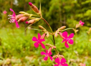 0-02-0a-9df30b092eda03e2f407d1afe2f9e2d9bcd35e001aedc3e96c237aac7494fa36_667c2f19