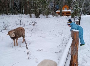 изображение_viber_2023-03-16_11-43-04-530