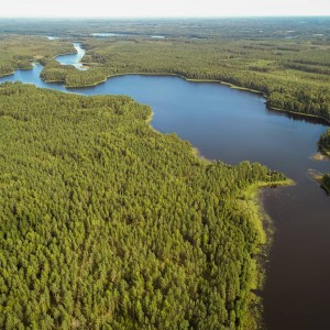 IMG_20200519_164214_407