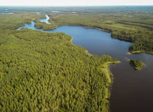 IMG_20200519_164214_407