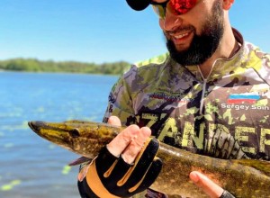 0-02-05-04ef1cf5ba2c0326d0ce1e5e7abf5aa43b6239ca16b49d8ecd03c623b81446d0_d00ff94d